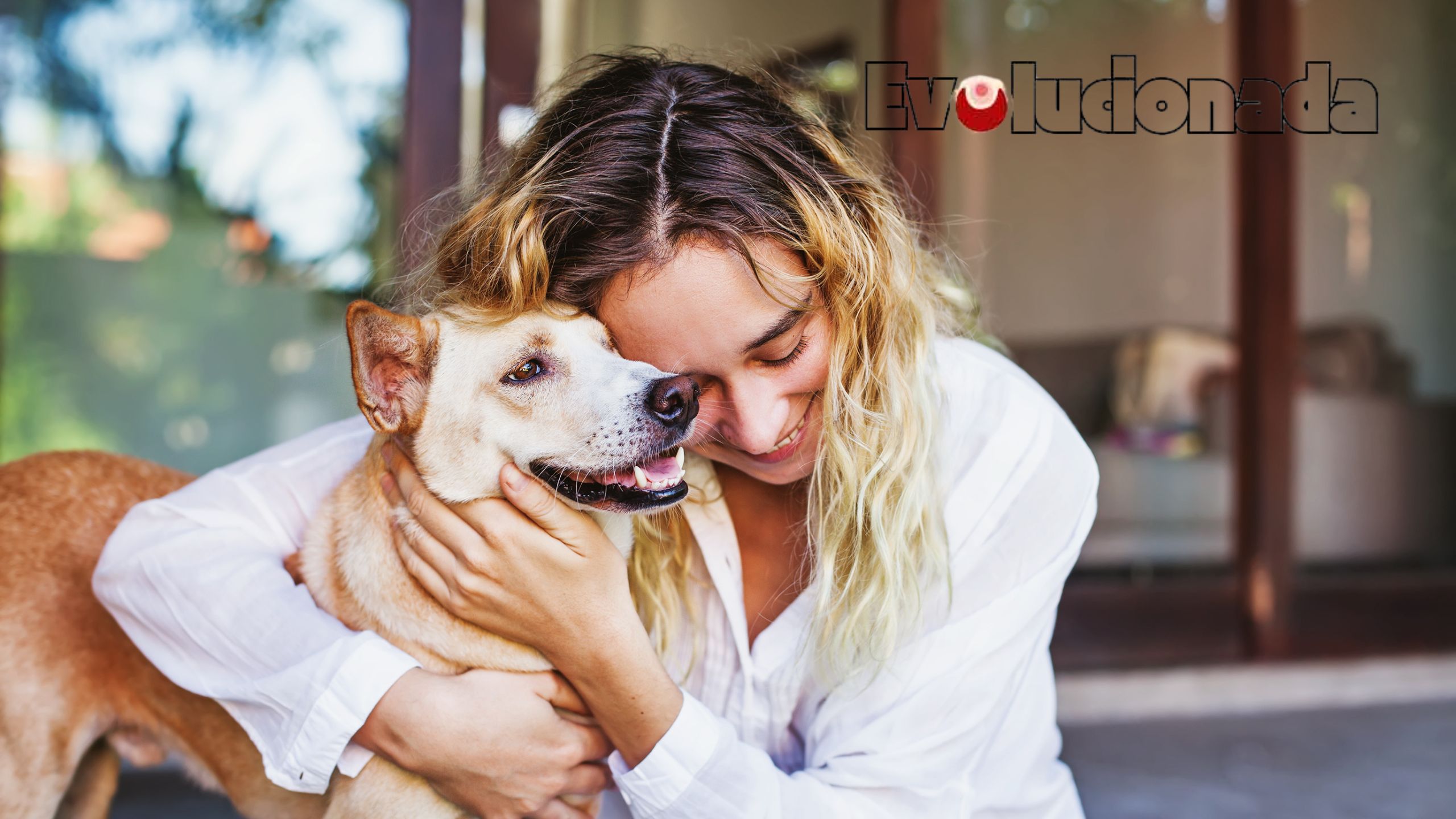 Despedida digna: el último acto de amor hacia nuestras mascotas